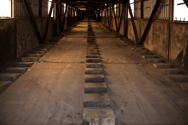 Zeche Zollverein - (c) L Lammers.jpg